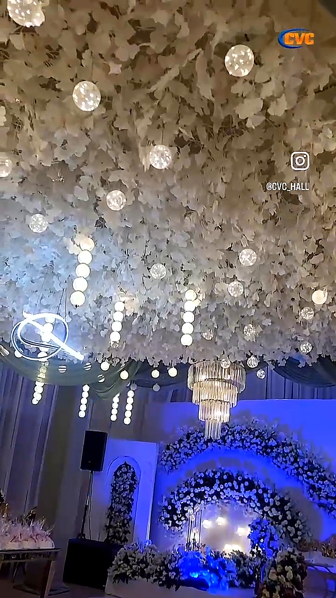 Ceiling and event lighting